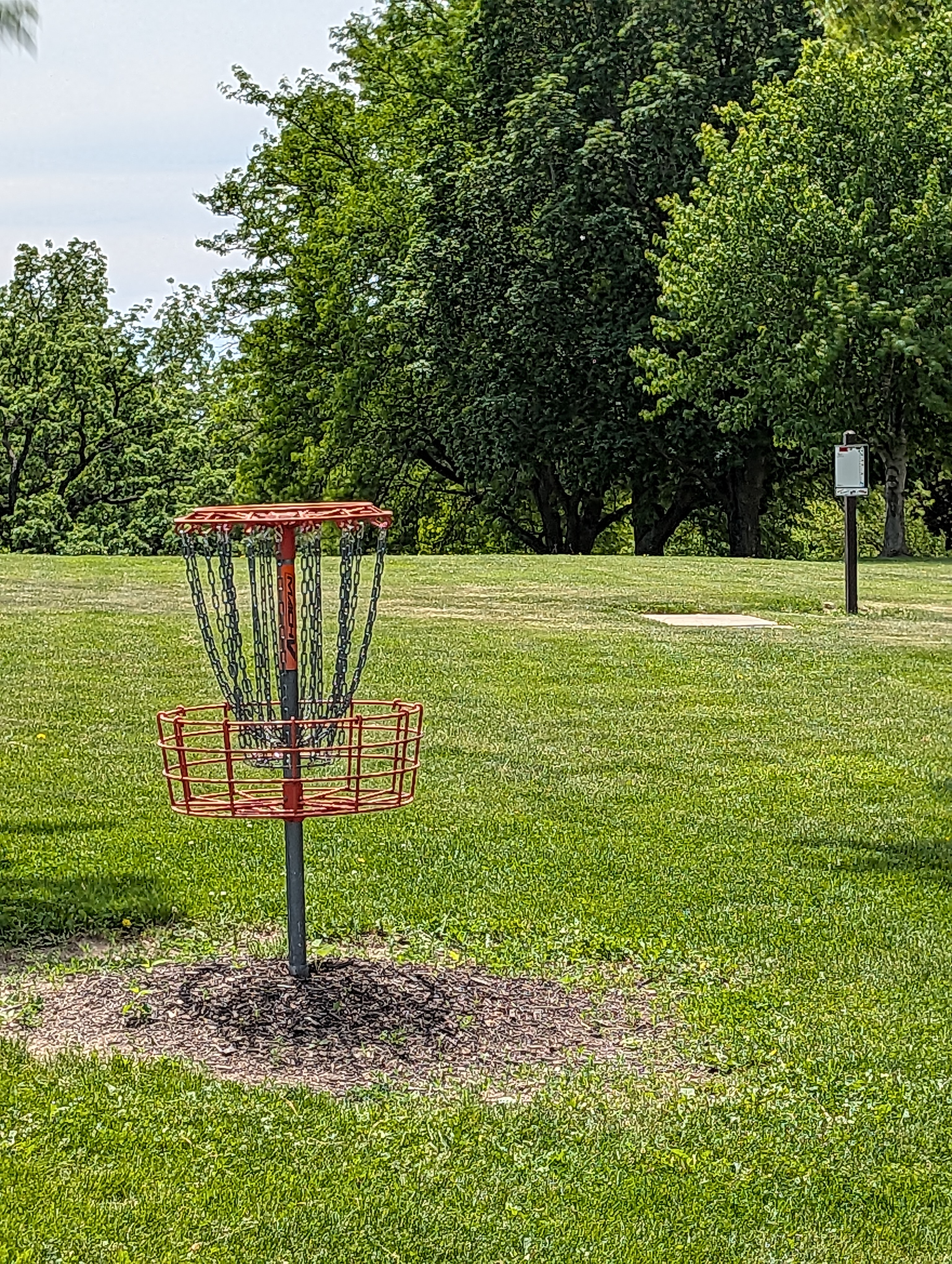 Disc Golf